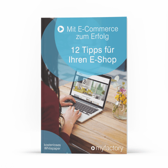 12 Tipps für Ihren E-Shop Mit E-Commerce zum Erfolg